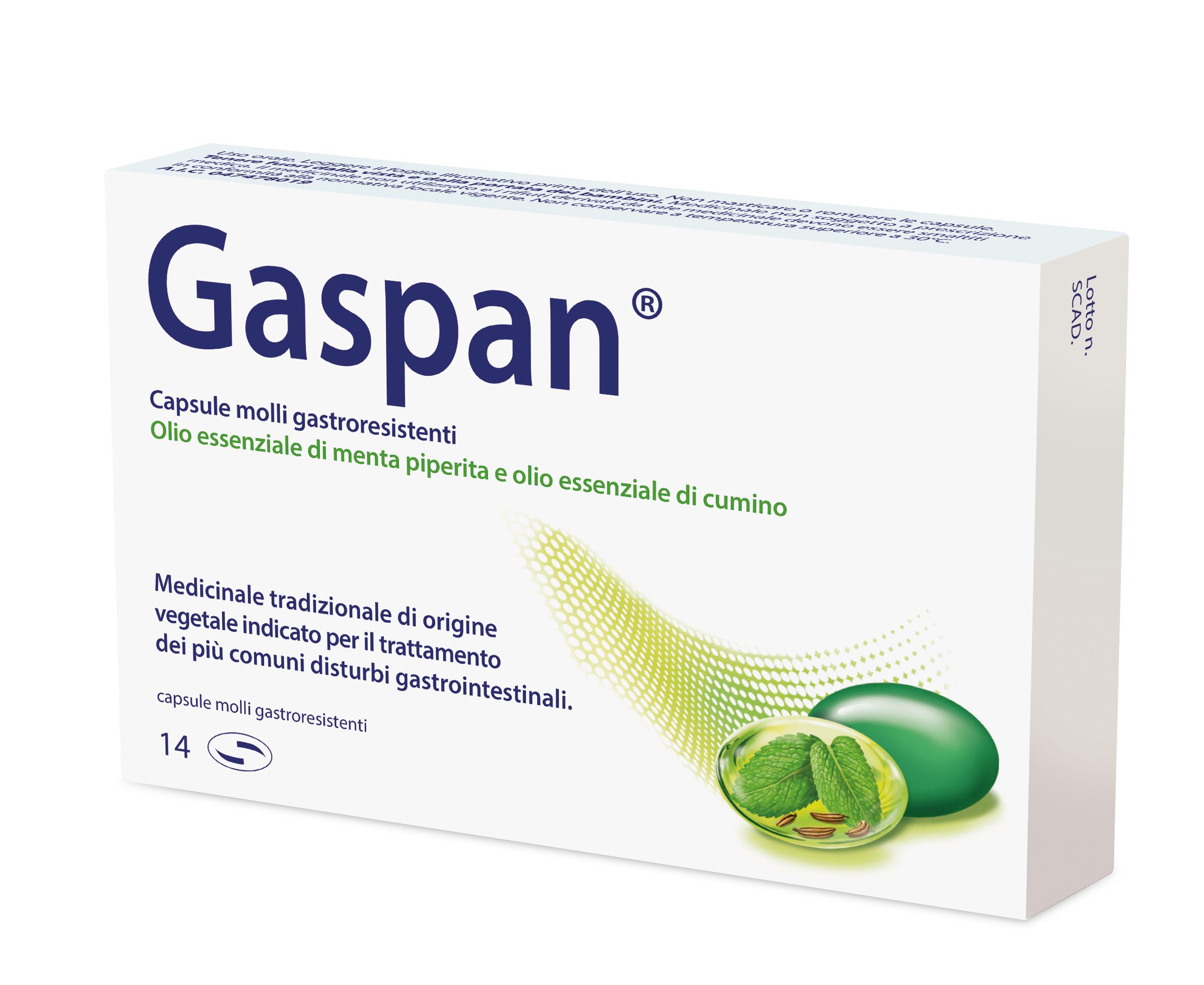 GASPAN*14CPS MOLLI GASTRORES - farmaciaverde.it