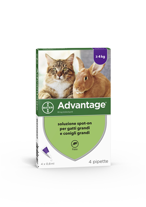 ADVANTAGE*4PIP 0,8ML SPOTON - farmaciaverde.it