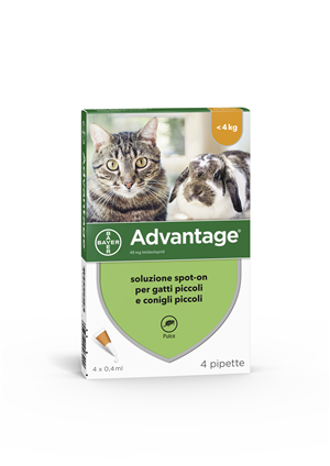 ADVANTAGE*4PIP 0,4ML SPOTON - farmaciaverde.it
