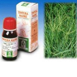 GRAMIGNA 37 50ML TM - farmaciaverde.it