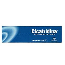 CICATRIDINA POMATA 30 G - farmaciaverde.it