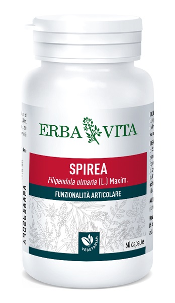 SPIREA ULMARIA 60 CAPSULE 400 MG - farmaciaverde.it
