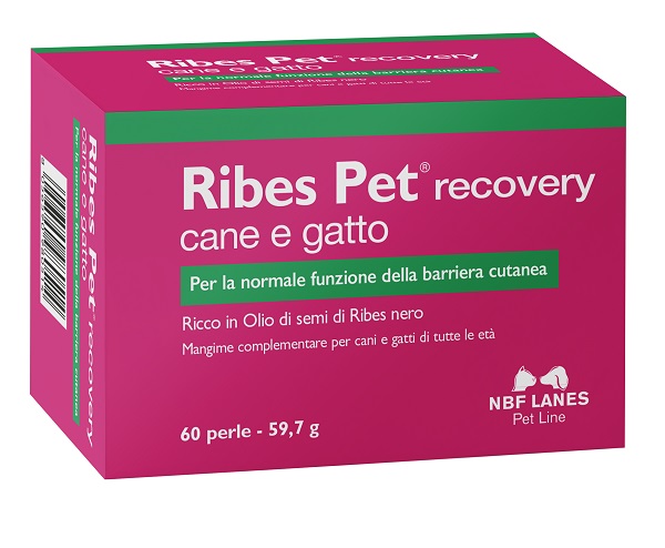 RIBES PET RECOVERY BLISTER 60 PERLE - farmaciaverde.it