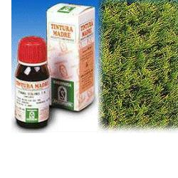 CIPRESSO 11 50ML TM - farmaciaverde.it