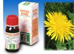 TARASSACO 28 50ML TM - farmaciaverde.it