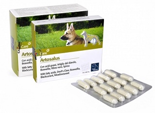 ARTOSALUS COMPRESSE 30 COMPRESSE - farmaciaverde.it