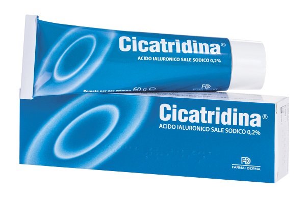 CICATRIDINA POMATA 60 G - farmaciaverde.it