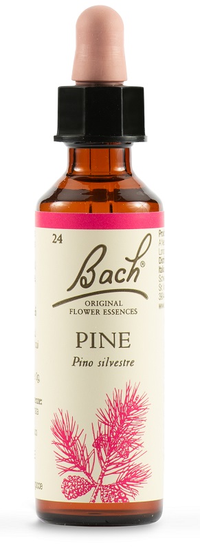 PINE BACH ORIG 20 ML - farmaciaverde.it
