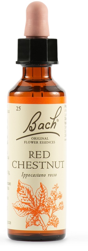 RED CHESTNUT BACH ORIG 20 ML - farmaciaverde.it