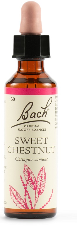 SWEET CHEST BACH ORIG 20 ML - farmaciaverde.it