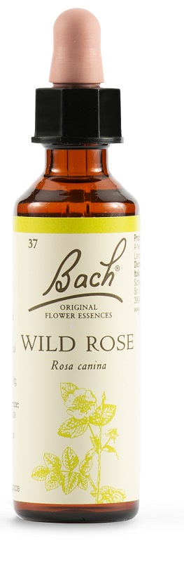WILD ROSE BACH ORIG 20 ML - farmaciaverde.it